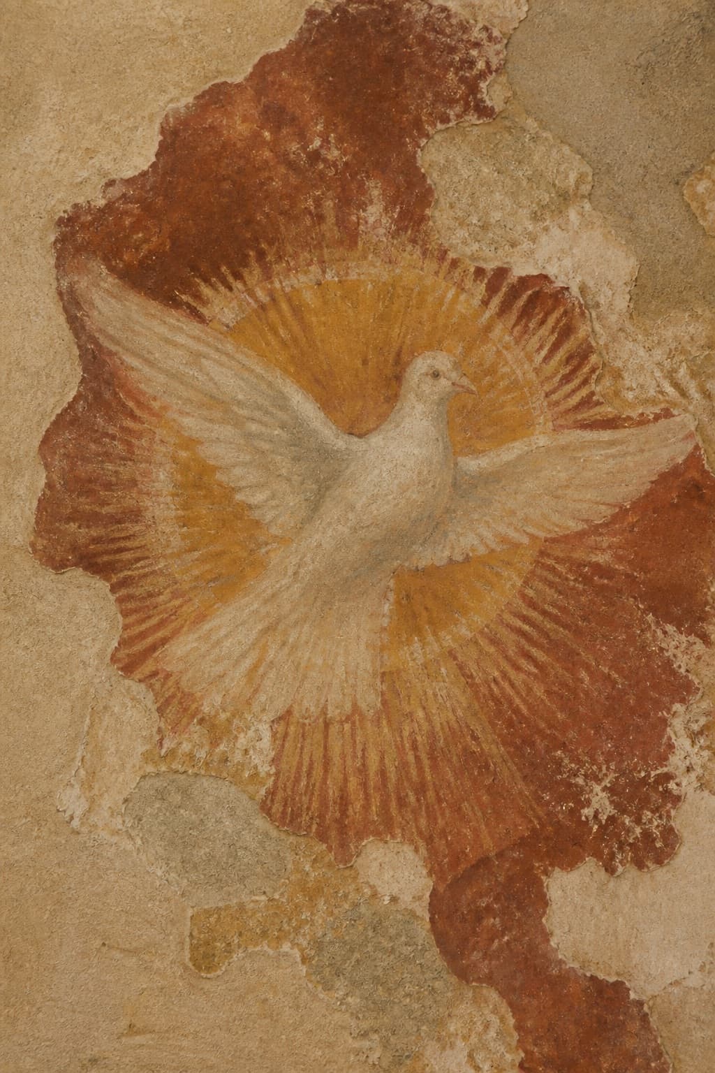 Dove fresco