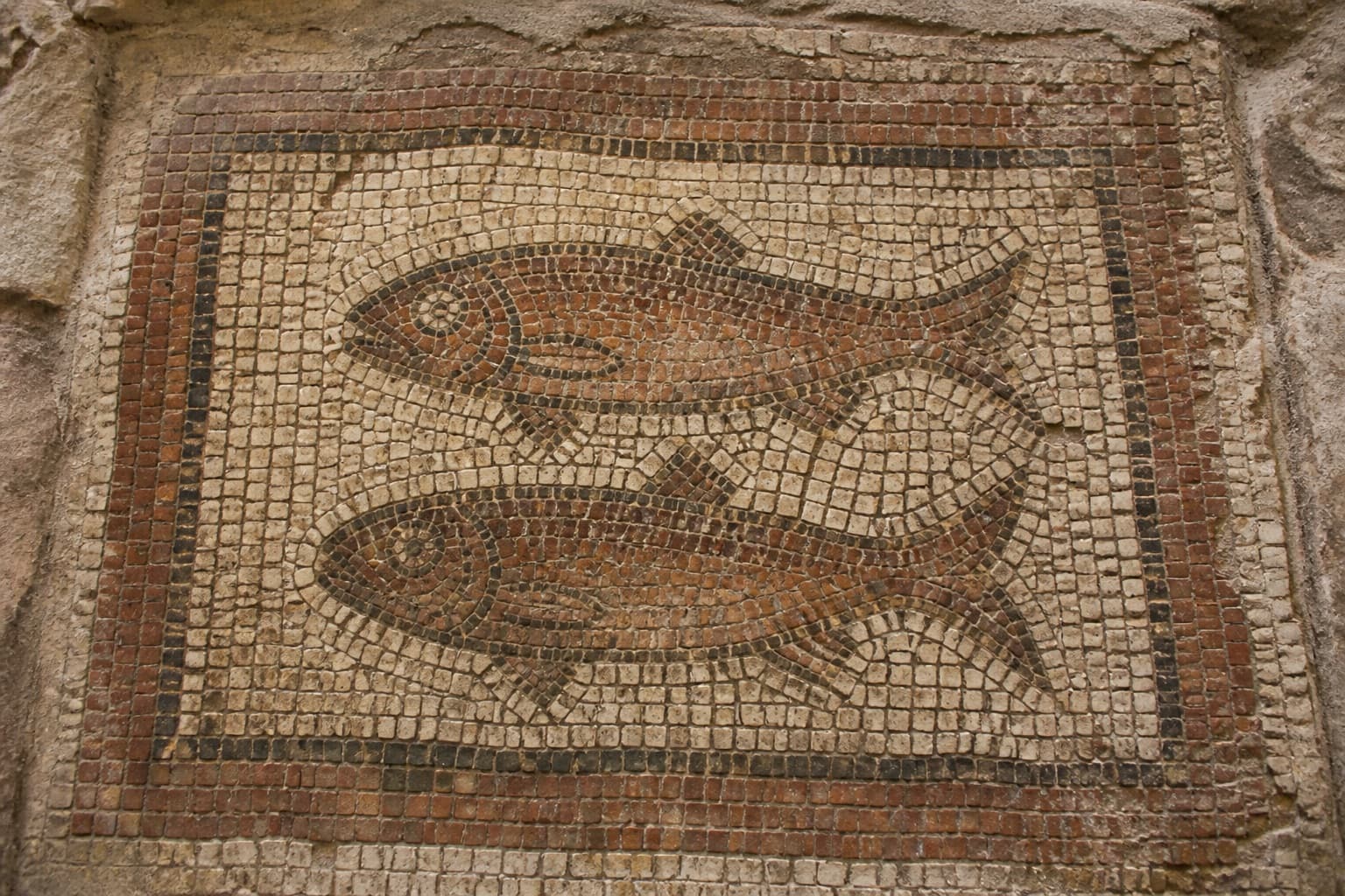 Fish mosaic