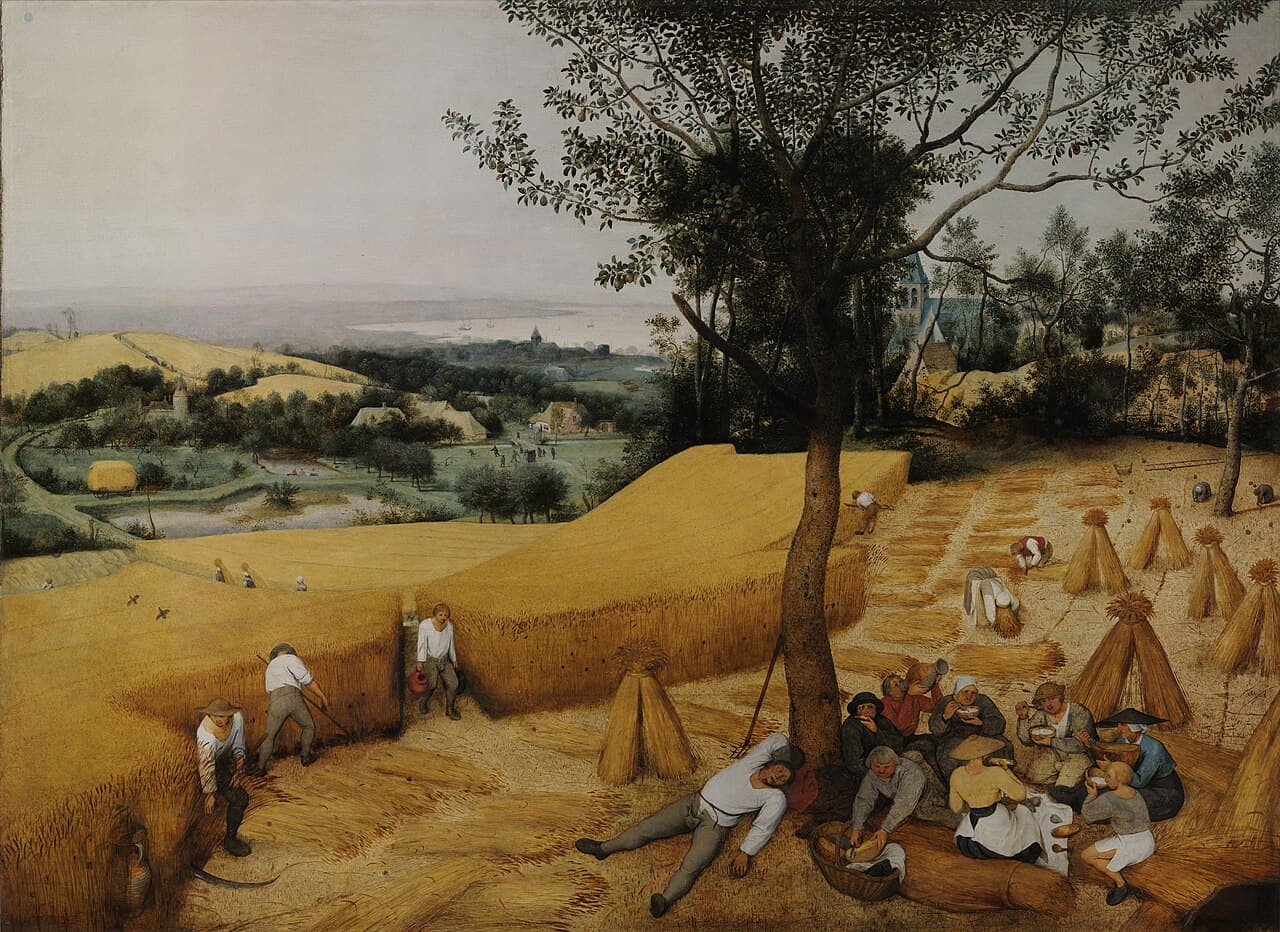 The harvest